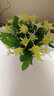 小菜菜家居（XIAO CAI CAI） 塑料花摆件绿色盆栽仿真花套装饰品客厅家居现代简约插花小花盆栽 LOVE多肉花器+嫩绿小翠花 实拍图
