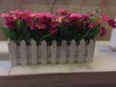爱泽宝 30cm跳兰菊套装花艺 实木栅栏仿真花套装 假花绢花客厅装饰摆放花艺干花 粉红跳舞菊+30cm栅栏 实拍图