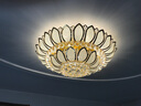 安灯堡 安灯堡吸顶灯卧室欧式水晶客厅灯金色莲花大厅圆形灯饰灯具 959 100W 15㎡内适用 1000lm 80cm暖光 实拍图