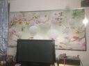惠菲乐5d立体凹凸壁画电视背景墙壁纸简约现代3d墙纸影视墙装饰客厅大气 8D彩晶微雕无缝工艺/每平方米 材质1 实拍图