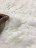南极人澳洲纯羊毛床垫加大加厚冬季保暖垫被褥坑垫单双人冬天防滑褥子垫 纯羊毛长毛款 200*220cm 实拍图
