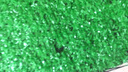 夕音 地毯塑料假草皮人造仿真草坪幼儿园人工假草坪室内飘窗阳台地毯 翠绿色15mm加密 实拍图