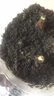 淘舞 彼岸花种球 庭院盆栽 石蒜花种球 花卉种子四季种植 紫罗兰 实拍图