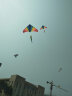 百特潍坊风筝经典百特彩虹三角网红风筝成人玩家之选微风易飞 1.2米小彩条风筝+100米线 实拍图