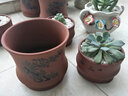 裕轩堂紫砂花盆多肉菖蒲盆景宜兴室内桌面花盆陶瓷创意批发多肉创意个性 紫砂0232-1红 小 实拍图