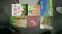 最经典的365夜睡前故事：春之卷  实拍图