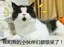 百威狮铜嘴吹尘枪气动耐高压除尘枪空压机灰尘弹簧气管绕圈管风管带接头 铜嘴吹尘枪+15米弹簧管 实拍图