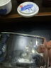 美斯尼 玻璃茶杯茶水分离水杯陶瓷过滤内胆办公室茶杯茶具高硼硅泡茶杯 蓝荷（300毫升） 实拍图