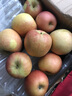 汇尔康大沙河红富士苹果5斤装当季新鲜水果丑苹果徐州特产生鲜 实拍图