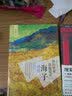 诗意传奇书系·我的世界，春暖花开：海子诗传 实拍图
