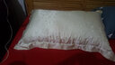 百年六合19姆米重磅双面真丝枕套100%桑蚕丝丝绸枕头套尺寸可定制  单只价 轻舞月华 48*74cm 实拍图