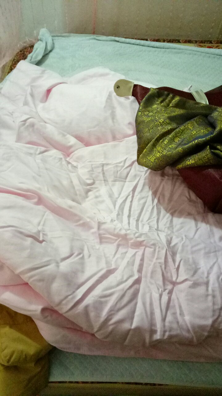 蚕花娘娘（SILKUEEN）蚕丝被100%桑蚕丝纯棉国标优等品被丝绵被夏凉被春秋薄被子母被芯 总重约5斤（桑蚕长丝净重3斤） 220*240cm粉 实拍图
