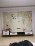 惠菲乐电视背景墙壁纸立体中式壁画客厅影视墙现代简约墙纸装饰欧式定制 瑞士无缝珠光布/每平方米 仅墙纸 实拍图