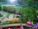 鱼乐美CT系列声音轻鱼缸氧气泵增氧泵水族箱养鱼加氧泵鱼缸充氧机充气 YT-302C(4米管+2沙头+2止水阀) 实拍图