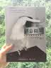 创意摄影：摄影中的艺术与设计 实拍图