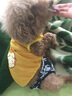 |夏季宠物背心 泰迪狗衣服 猫衣服 雪纳瑞比熊宠物衣服装中小型犬狗狗网格布透气卡通可爱T恤 黄金猴 M适合胸围38cm背长30cm体重6斤内 实拍图
