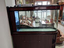 欧庭（OUTING）欧庭子弹头鱼缸客厅玻璃生态屏风中式1米落地水族箱 侧过滤  126x43x76/70cm 实拍图