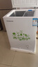 容声(Ronshen) 100升 家用小冰柜 迷你冷藏冷冻转换冷柜 单温冰箱 BD/BC-100MB 实拍图