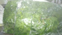宁雪儿假花藤条仿真花葡萄叶管道装饰下水管空调管遮挡塑料花藤蔓植物 2条地瓜胶片软藤-105叶 实拍图