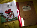 小红帽的野花标本集（孩子应该知道的植物标本） 实拍图