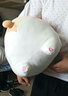 柯基大屁股解压趴趴狗抱枕生日礼物女生送女友给女朋友老婆闺蜜女孩子可爱玩偶毛绒玩具小狗狗公仔实用的礼品 棕色屁屁柯基抱枕 60cm 实拍图