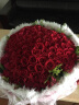 花锦集鲜花同城配送送女友生日礼物情人99朵红玫瑰花束33朵送老婆女神 99朵粉玫瑰银叶菊 晒单实拍图