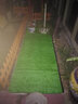 夕音 地毯塑料假草皮人造仿真草坪幼儿园人工假草坪室内飘窗阳台地毯 翠绿色15mm幼儿园 家用 实拍图