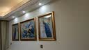 心泊（SIMPLE S） 客厅装饰画欧式美式复古沙发背景墙挂画玄关走廊三联孔雀壁画 C款-欧式典雅金框 两侧63x80-中间110x80 实拍图
