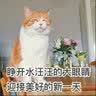 百威狮铜嘴吹尘枪气动耐高压除尘枪空压机灰尘弹簧气管绕圈管风管带接头 铜嘴吹尘枪+15米弹簧管 实拍图