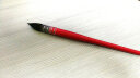 澳洲NEEF红胖子 117松鼠毛水彩笔水彩画笔 6号 晒单实拍图