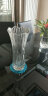 bingyi透明大号富贵竹玻璃花瓶 欧式水晶品质花瓶摆件工艺花插 35凤尾 晒单实拍图