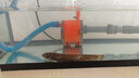 西龙 鱼缸水族箱水泵 过滤器多功能内置水循环潜水泵 家用增氧抽水泵 XL-460配40-60cm鱼缸15W 标配 实拍图