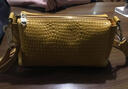 赖牌LAIPAI新款单肩包女包牛皮鳄鱼纹斜挎包手提包女 黄色 实拍图