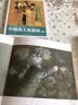 花下眠(原大版)-现代工笔小品技法临摹范本 实拍图