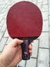 斯帝卡（Stiga）纳米碳王9.8斯蒂卡乒乓球底板乒乓球拍碳素球板光板横板 Hybrid Wood 直拍PEN_短柄 实拍图