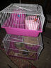 卡丘鼠 仓鼠活体笼子大别墅47基础笼外带手提笼子两只仓鼠相亲隔离笼 红色小田园 实拍图