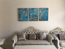 MONADIY客厅装饰画沙发背景墙三联画现代简约山水风景壁画卧室餐厅挂画 03 孔雀之恋（三幅组合） 拉丝银框 60*80cm PS框+油布 实拍图