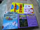 幼升小描红作业本 汉字2  幼小衔接儿童幼儿园小班中班大班描红练习册 幼小衔接 学前必备 [3-6岁] 河马文化  实拍图