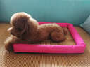 獒少保狗窝猫窝夏季宠物狗狗窝垫子凉席金毛泰迪狗窝小型犬狗屋狗床用品 可爱粉 M码 50*41*7cm 建议12斤内 实拍图