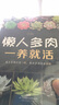 懒人多肉一养就活（汉竹） 实拍图