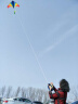 百特潍坊风筝经典百特彩虹三角网红风筝成人玩家之选微风易飞 1.2米小彩条风筝+100米线 实拍图