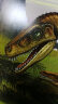 恐龙的星球探秘：三叠纪（豪华3D图鉴） 实拍图