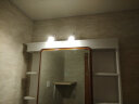 樱冠（SERULA） LED镜前灯可免打孔双三头简约不锈钢浴室卫生间伸缩镜柜灯化妆灯 双头2x3W(30cm) 暖光 实拍图