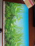 金利佳（Jeneca） 鱼缸专用背景纸水族箱高清背景画龟缸背景图饲养缸贴纸壁纸壁画 30高82长（浏览详情选款式） 实拍图