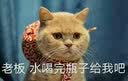 百威狮铜嘴吹尘枪气动耐高压除尘枪空压机灰尘弹簧气管绕圈管风管带接头 铜嘴吹尘枪+15米弹簧管 实拍图