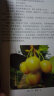 甜樱桃优新品种及配套栽培技术彩色图说 实拍图