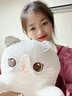 捉趣（ZHUOQU）猫咪抱枕公仔毛绒玩具女孩长条玩偶冰丝睡觉夹腿抱枕女生生日礼物 灰色【冰丝面料独立内胆】 全长约70cm 实拍图