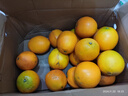 集年鲜赣南脐橙手剥甜橙子新鲜现摘生鲜水果整箱节日送礼 净重2.6斤实惠果（单果100-149g) 实拍图