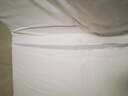 睡眠博士 床垫 泰国天然乳胶床垫记忆棉榻榻米床垫床褥90*200*6cm 实拍图