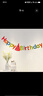演绎 生日装饰场景布置彩拉旗儿童成人生日快乐装扮彩色字母横幅拉花 实拍图